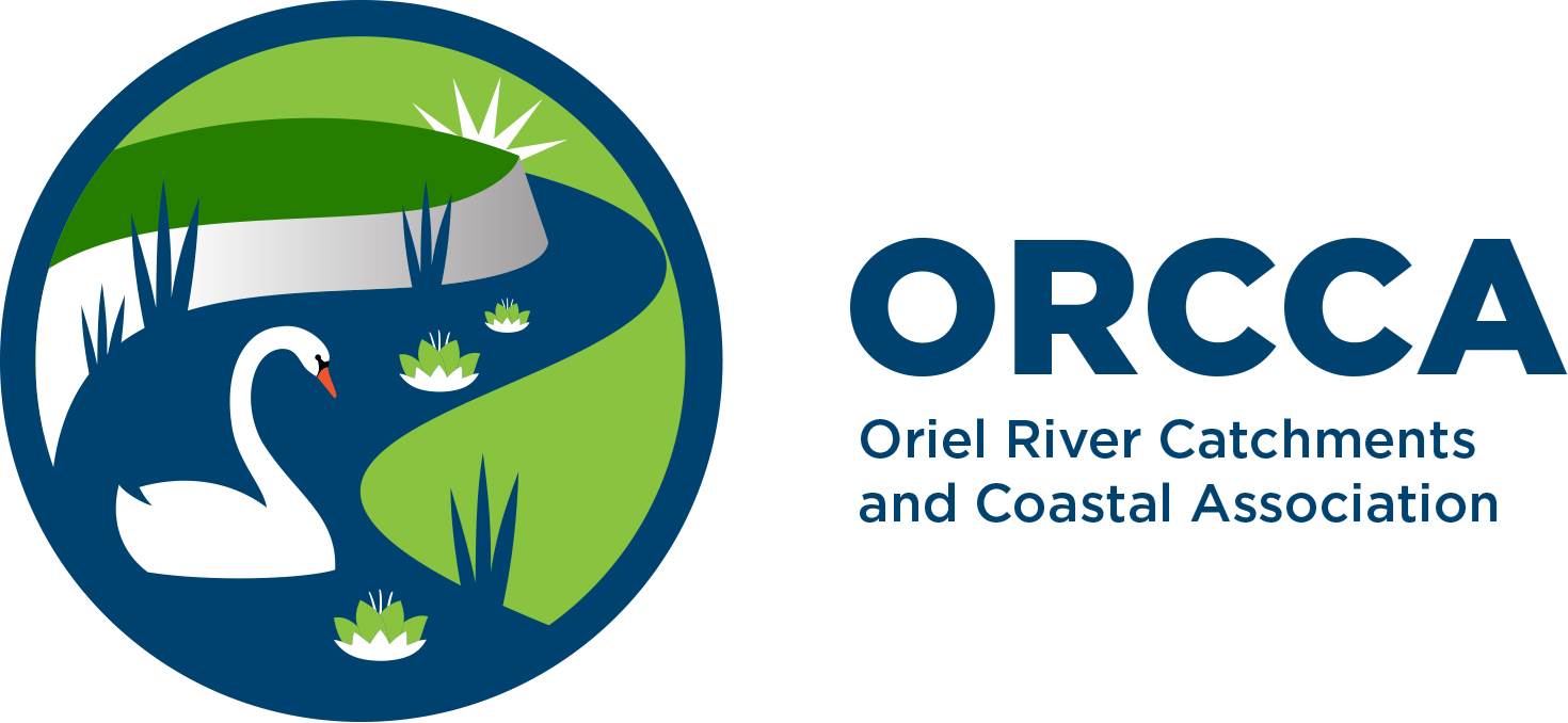 ORCCA Water logo