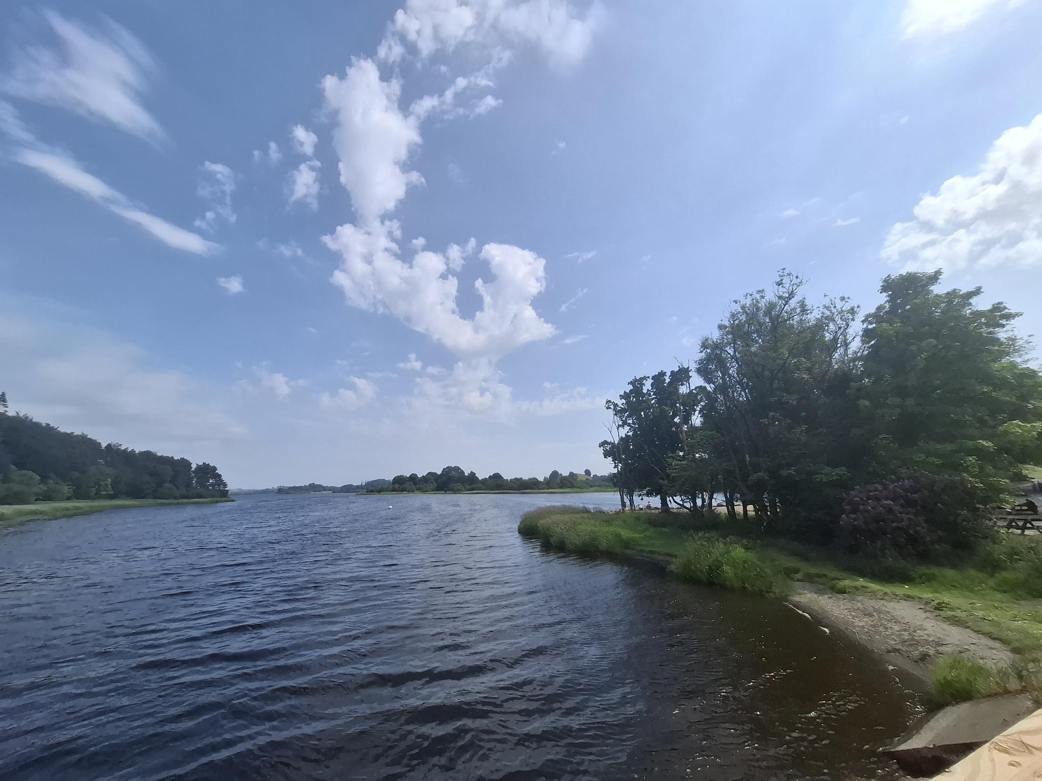 Lakeshore with trees and a grassy bank