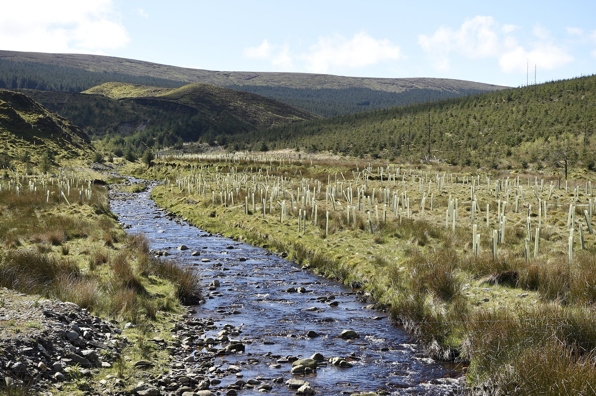 Shallow river running through farmland and rolling hills in Glenhedra