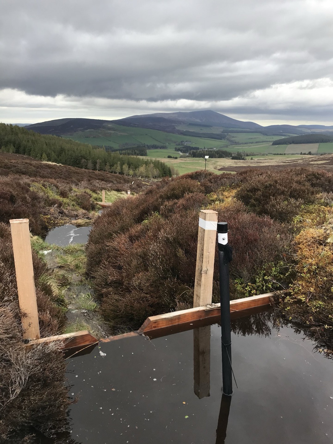 Demonstration wooden leaky barrier installed to slow stream flow and capture sediment